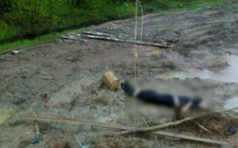 В Коми мужчина попытался зарядить телефон от линии электропередач и умер (фото)