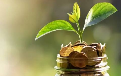 Как сыктывкарцам избежать начисления пеней?