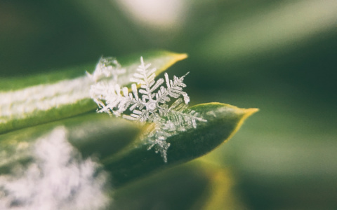 Погода в Сыктывкаре 2 июня: ночью будет минус