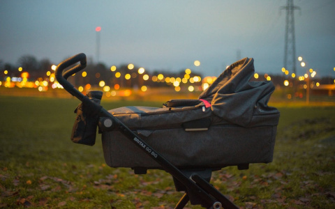 Жители Коми с помощью детской коляски украли 93 флакона дезодорантов