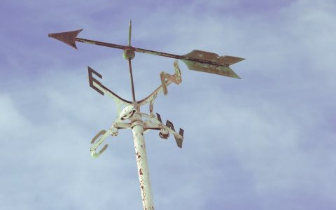 Погода в Сыктывкаре на 4 июня: ветер сменит направление