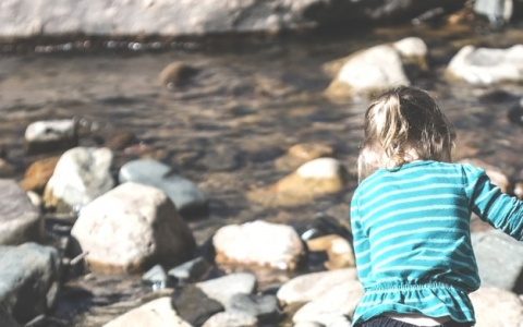 В Коми ищут 7-летнюю девочку, которая ушла в лес и пропала