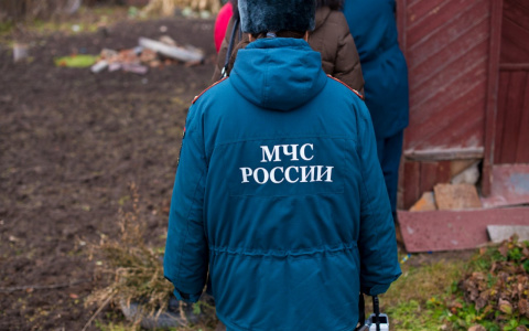 В Коми нашли 7-летнюю девочку, которая потерялась в лесу