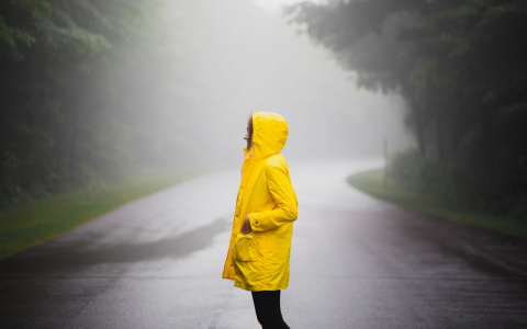 Погода в Сыктывкаре 6 июня: дождь всю ночь и временами днем