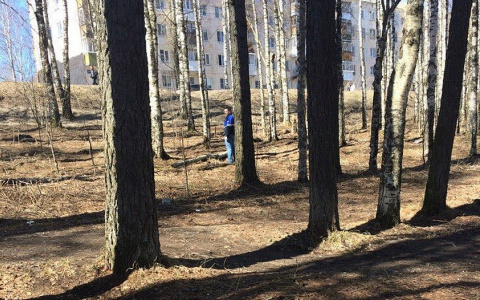 В столице Коми откроют новую зону для прогулок горожан