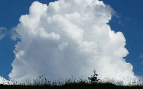 Синоптики рассказали, каким будет июнь в Коми