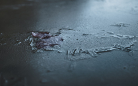 Погода в Сыктывкаре 7 июня: температура опустится до нуля