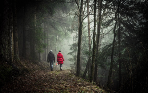 В Коми ищут 14-летних парня и девушку, которые сбежали из реабилитационного центра