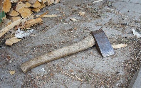 Умственно отсталый сыктывкарец зарубил топором влюбленную пару