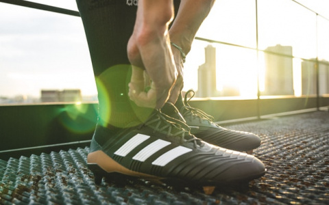 Сыктывкарцы смогут бесплатно тренироваться с инструкторами по семи видам спорта