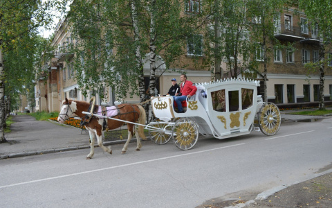 В День города сыктывкарцев будут катать на карете (расписание)
