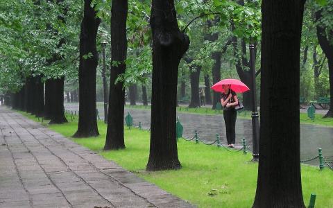 Погода в Сыктывкаре 13 июня: берите зонт и не грустите