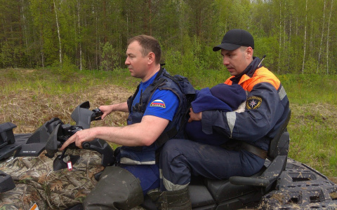 В МЧС рассказали историю чудесного спасения малышки, которая потерялась в лесу в Коми