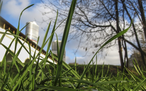 Эксперты по климату: на севере Коми вырастет трава, а зимы станут теплее