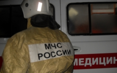 На пожаре в Сыктывкаре сгорели два брата