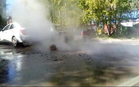 В Сыктывкаре из асфальта бил «фонтан» кипятка (фото, видео)