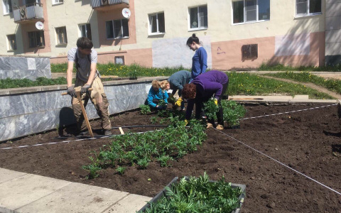 На сыктывкарские клумбы потратят более пяти миллионов рублей (фото)