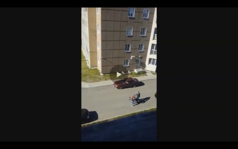 Появилось видео драки, в которой сыктывкарца забили до смерти