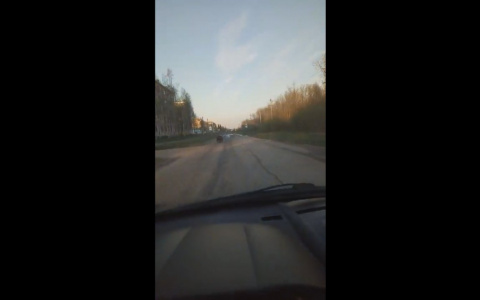 Житель Коми снял на видео медведя, который носился по жилым кварталам