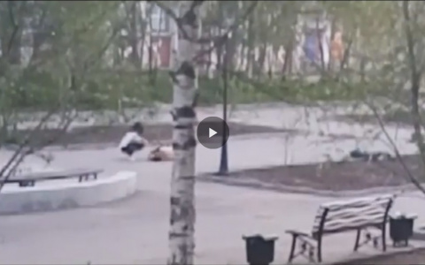 Жители Коми стали свидетелями жестокой ночной драки девушек (видео)