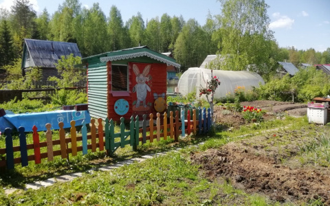 В конкурсе «Моя дача» две прекрасные участницы (фото)