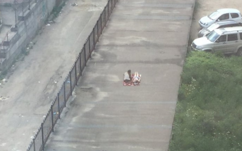 Две сыктывкарки легли загорать прямо посередине тротуара (фото)