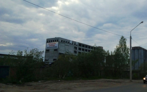 В Сыктывкаре здание мелькомбината продают за 2 миллиона рублей