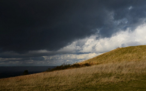 Погода в Сыктывкаре 21 июня: пасмурно и дождливо
