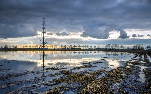 Прокуратура Коми обяжет «Лукойл» очистить земли, отравленные нефтью