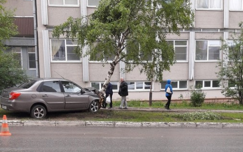 В Сыктывкаре иномарка влетела в березу (фото)