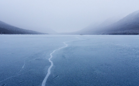 В Коми хотят продавать новый ресурс, которым интересуется даже Google