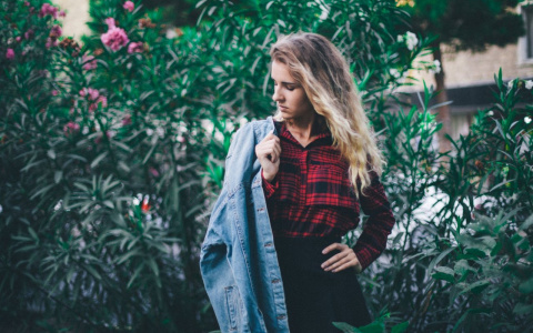 Погода в Сыктывкаре 22 июня: тепло возвращается