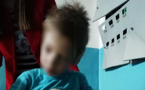 В Коми нашли глухонемого мальчика, который бродил совсем один (фото)