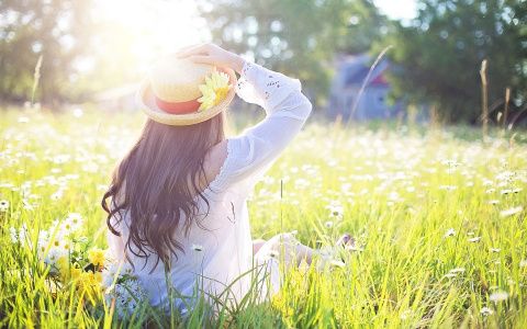 Жара +30: прогноз погоды в Сыктывкаре на выходные от синоптиков ЦГМС