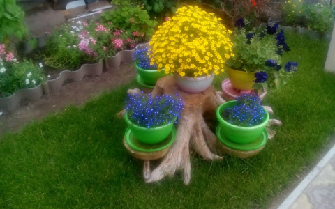 В конкурсе «Моя дача» две творческие сыктывкарки (фото)