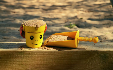 У сыктывкарцев осталось всего два дня, чтобы сделать детей счастливее