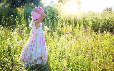 Погода в Сыктывкаре на 25 июня: жара и ни малейшего дуновения ветра