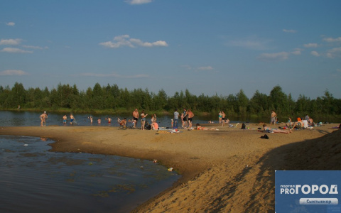 Где купаются сыктывкарцы: обзор пляжа в Выльгорте (фото)