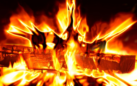 В Коми собирают деньги для мамы, которая потеряла в пожаре 4-месячную дочь