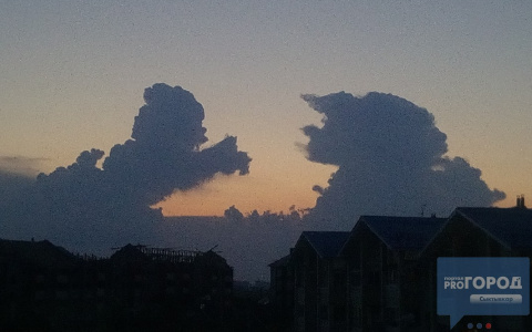 В небе над Сыктывкаром появились необычные облака, похожие на странных существ (фото, видео)