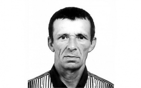 В Коми ищут мужчину в камуфляже, который ушел в лес и пропал