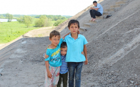 Под Сыктывкаром обосновался цыганский табор (фото)