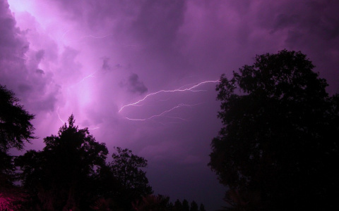 Погода в Сыктывкаре 27 июня: гроза расколет рабочий день пополам