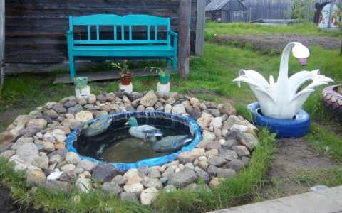 В конкурсе «Моя дача» 4 прекрасные участницы (фото)