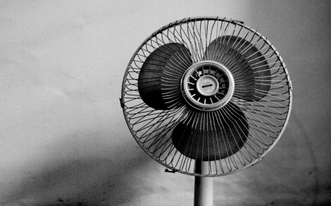 Погода в Сыктывкаре 28 июня: жара спадает