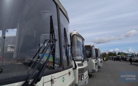 В Сыктывкаре частные перевозчики больше не собираются возить в автобусах льготников