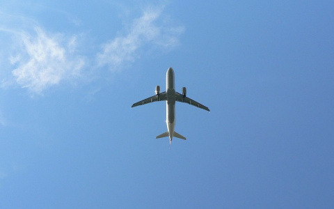 Самолет из Сыктывкара совершил экстренную посадку в Москве