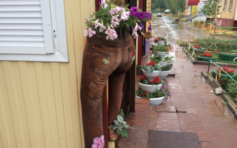 В Сети появилась фотография необычной клумбы в Коми