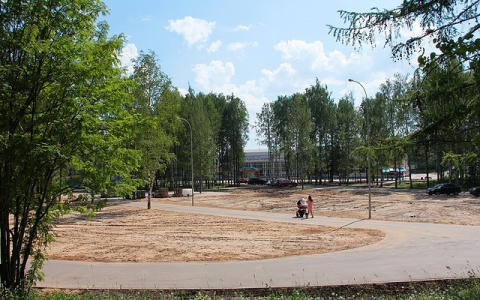 В Сыктывкаре осушили Мичуринский парк (фото)