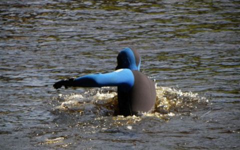 В Сыктывкаре спасатели ищут тело утонувшего 14-летнего мальчика